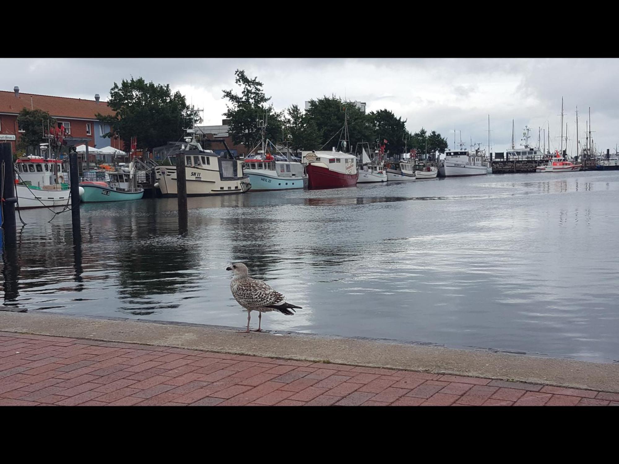 Neu! Ferienwohnung Amrum Taarstedt المظهر الخارجي الصورة